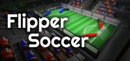 Flipper Soccer 시스템 조건