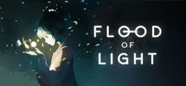Flood of Light - yêu cầu hệ thống