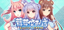 Fluffy Store System Requirements