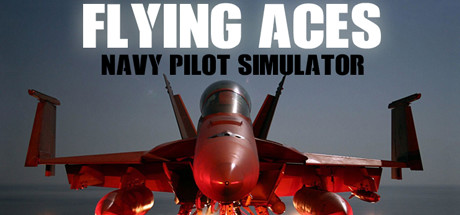 Flying Aces - Navy Pilot Simulator System Requirements