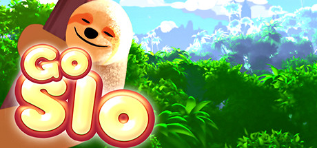 Go Slo System Requirements