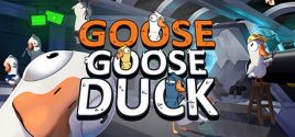 Goose Goose Duck系统需求