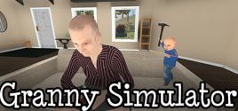 Preise für Granny Simulator