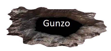 Requisitos do Sistema para GUNZO!