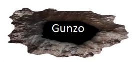 Требования GUNZO!
