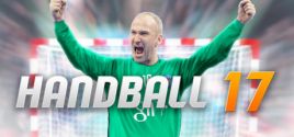 Handball 17系统需求