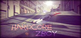 Hardcore ZBoy 가격