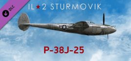 Требования IL-2 Sturmovik: P-38J-25 Collector Plane