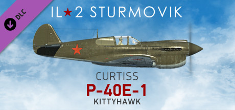 IL-2 Sturmovik: P-40E-1 Collector Plane цены