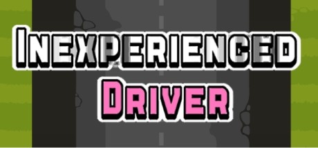 Inexperienced Driver系统需求
