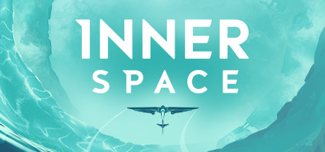 InnerSpace 가격