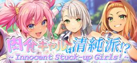 Configuration requise pour jouer à ～ Innocent Stuck-up Girls! ～ 肉食ギャルは清純派！？