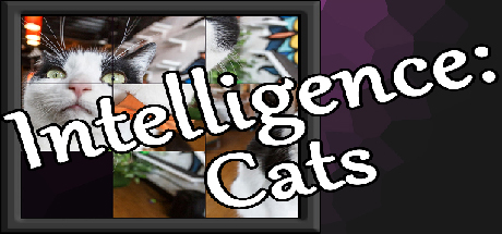 Intelligence: Cats prices