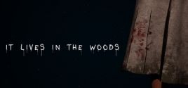 ItLivesInTheWoods Sistem Gereksinimleri