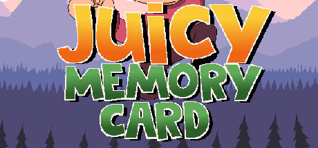 Preise für Juicy Memory Card