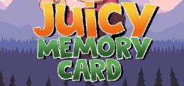 Juicy Memory Card 가격