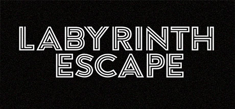 Labyrinth Escape 价格