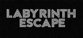 Labyrinth Escape 价格