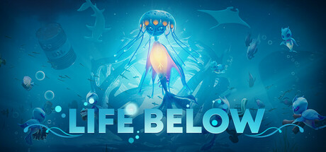 Life Below価格 