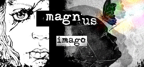 Magnus Imago系统需求