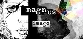 Magnus Imago系统需求