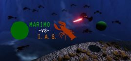Marimo -VS- I.A.S 시스템 조건