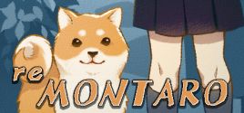Montaro RE System Requirements