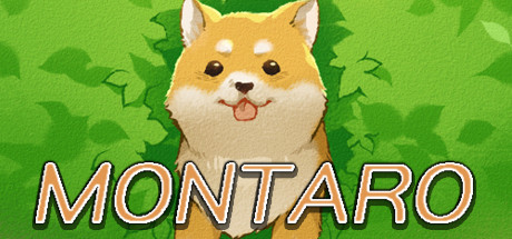 Montaro System Requirements