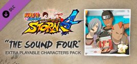 NARUTO SHIPPUDEN: Ultimate Ninja STORM 4 - The Sound Four Characters Pack precios