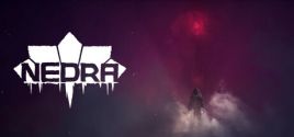 NEDRA価格 