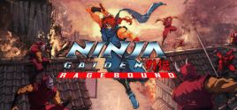 NINJA GAIDEN: Ragebound prices
