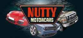 Nutty Motorcars系统需求