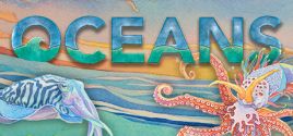 Oceans System Requirements