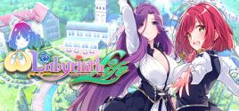 Omega Labyrinth Life System Requirements