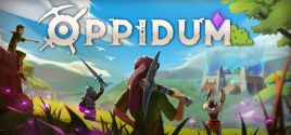 Oppidum Sistem Gereksinimleri