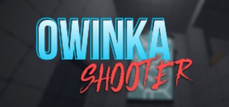 Owinka Shooter系统需求