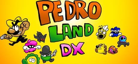 Pedro Land DXのシステム要件