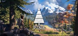 Pine 가격