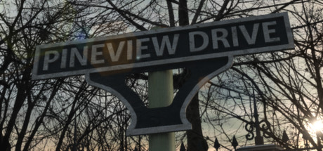 Pineview Drive 시스템 조건