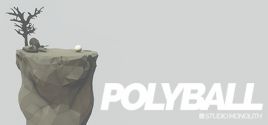 Polyball цены