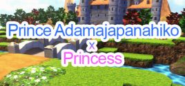 Prince Adamajapanahiko x Princess系统需求