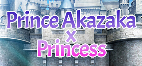 Prince Akazaka x Princess цены