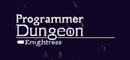 Programmer Dungeon Knightress цены