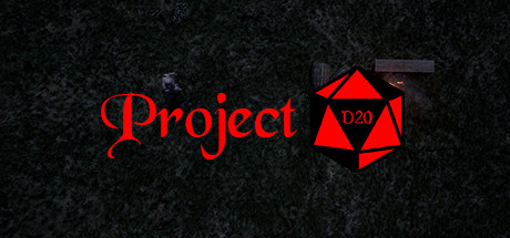 Project D20系统需求