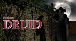 Project Druid - 2D Labyrinth Explorer-系统需求
