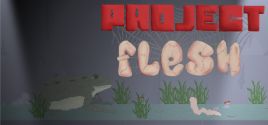 Project Flesh 시스템 조건