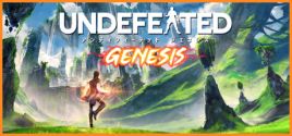 UNDEFEATED: Genesisのシステム要件