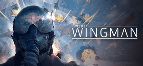Project Wingman - yêu cầu hệ thống