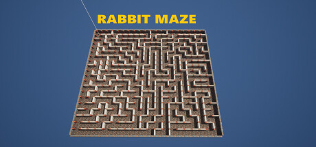 Rabbit Maze系统需求