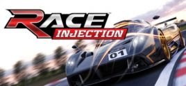 RACE Injection Systemanforderungen